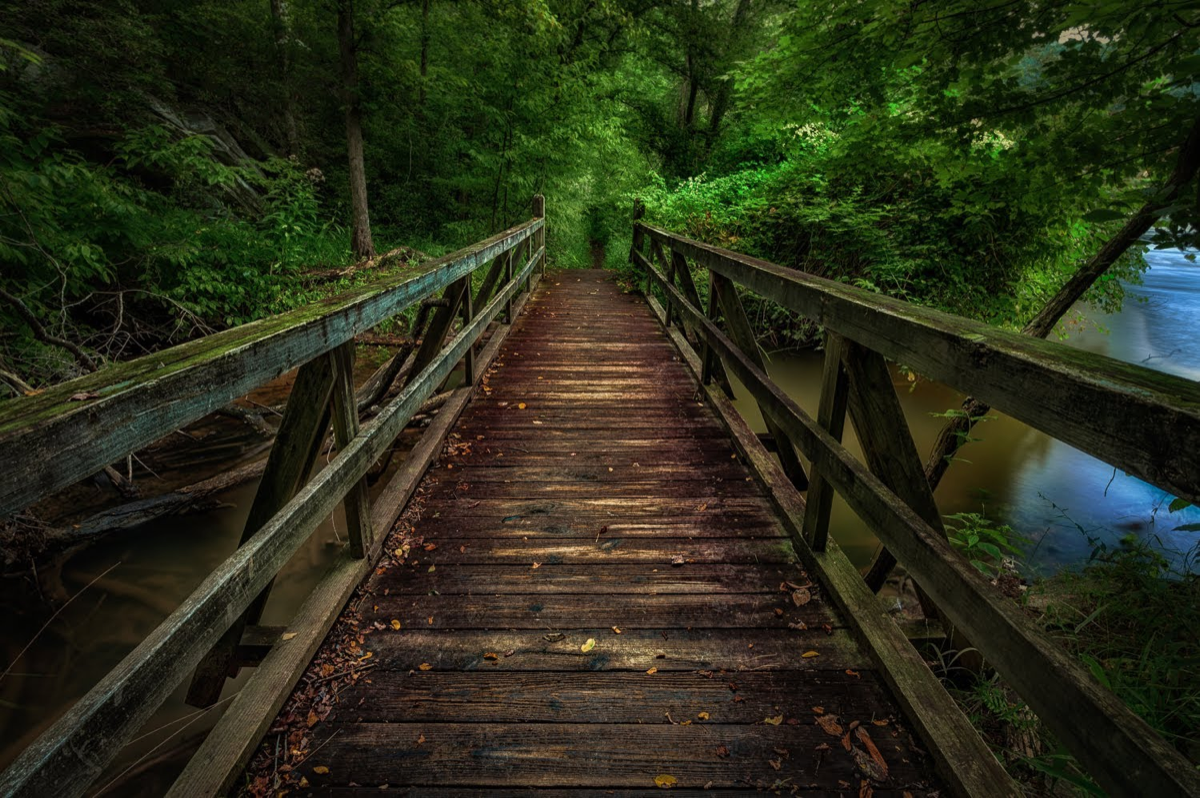 Stacks Image 636
